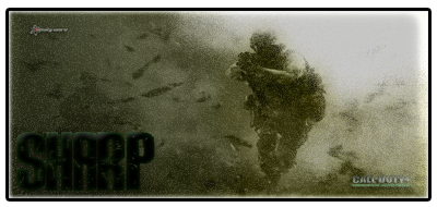 call_of_duty_4_wallpaper_28159.png