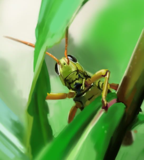 grasshopper_01.jpg