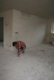 th_20101215_001.jpg