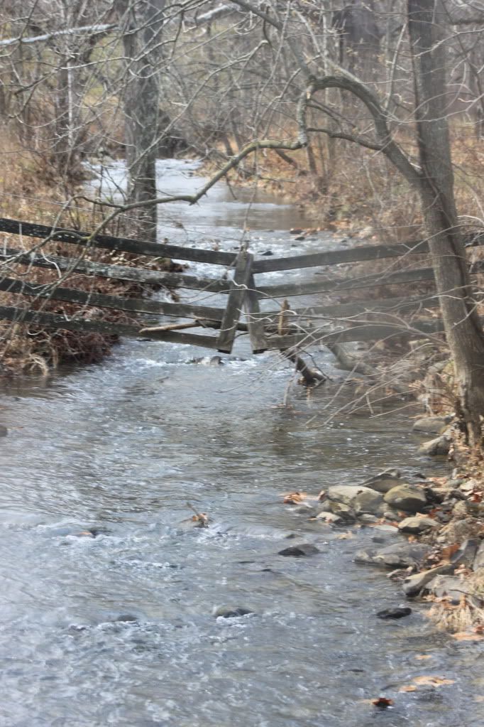 IMAGE: http://i1176.photobucket.com/albums/x326/Aponi06/Photography/IMG_0092.jpg