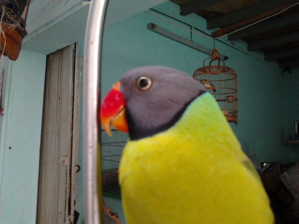 2012-10-17140256.jpg