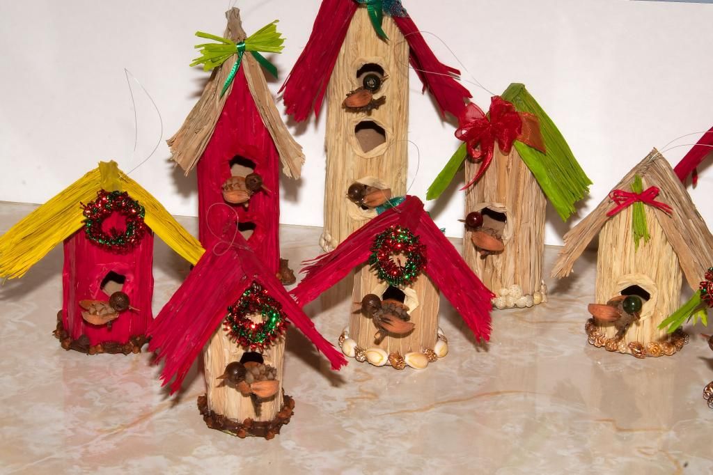 christmas bird photo:  DSC_5459.jpg