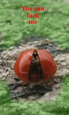 velikizeleni,red lady