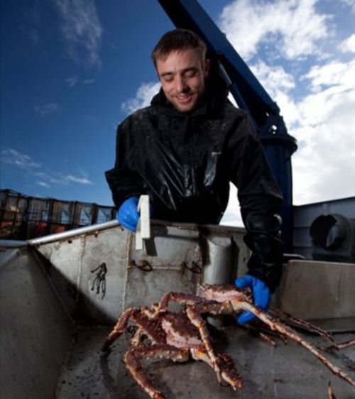 From Discovery, Deadliest catch photo KingCrab1_zpsb0ee0010.jpg