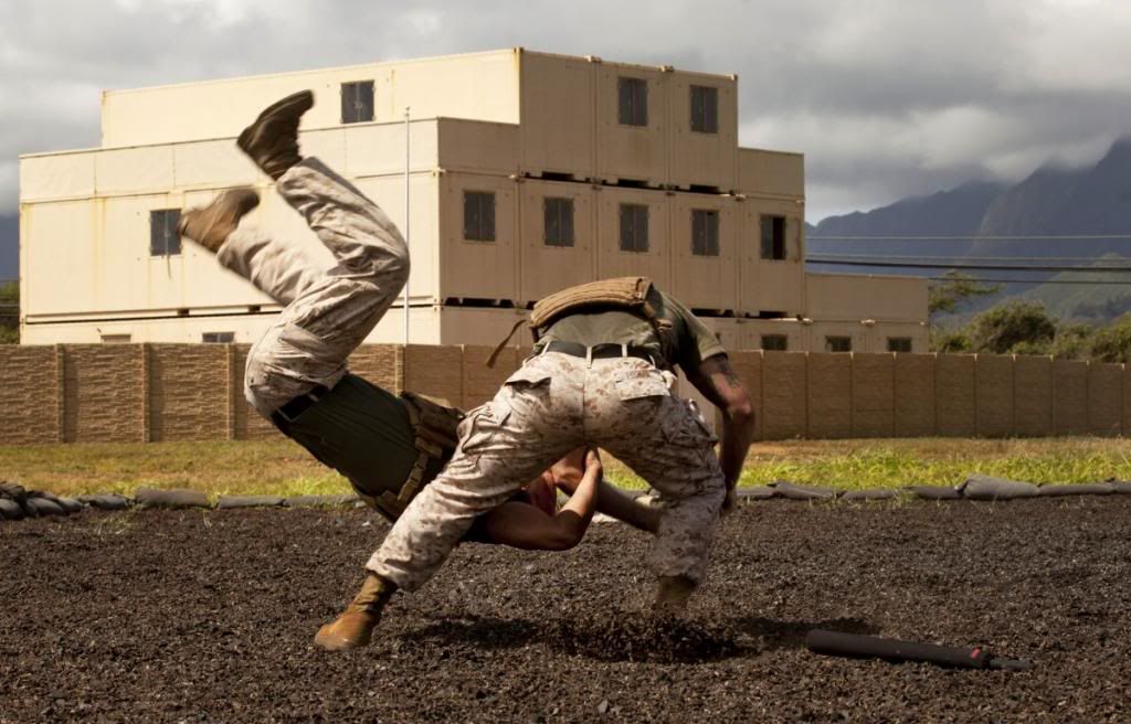 hand-handto-hand-combat_zpsa722cc86.jpg