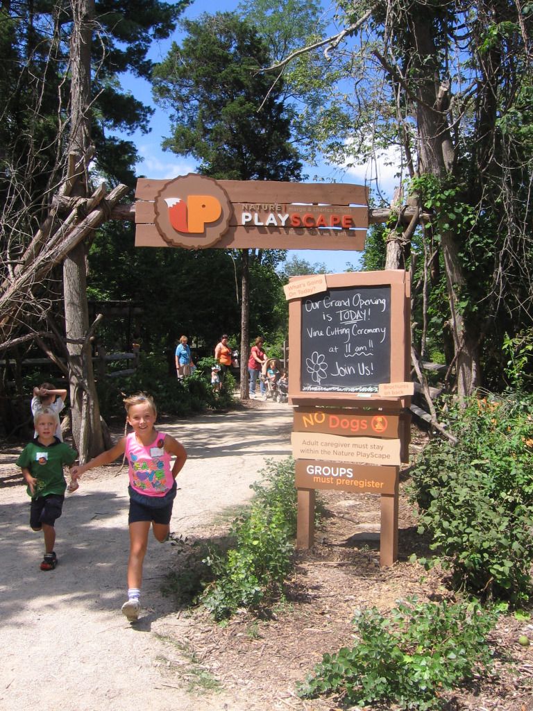 Playscape at Cincinnati Nature Center 