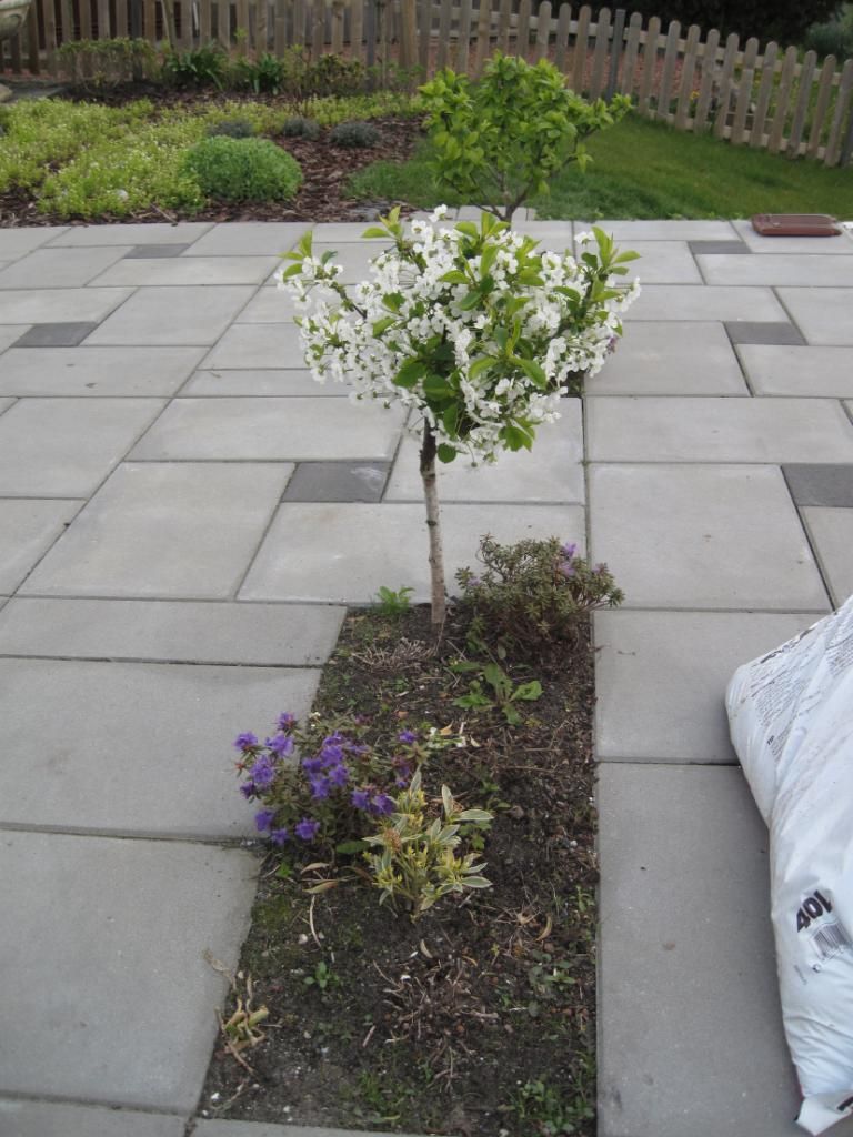 BoTuin22-04-2012004.jpg