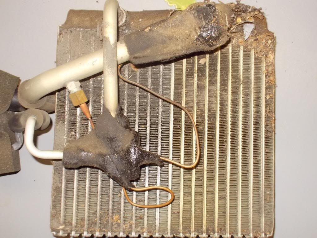  photo Evap1_zpsa4c7aa97.jpg