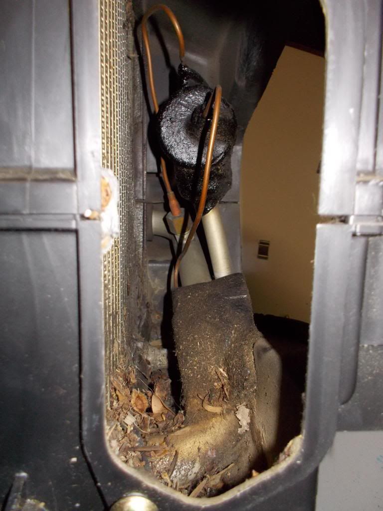  photo Evap2_zps6364095b.jpg