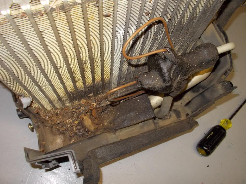  photo Evap4_zps6ea621e6.jpg