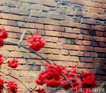 411043504370438043C0435043D04380-1_zps3b