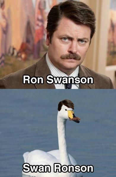 http://i1176.photobucket.com/albums/x336/RegionPhilbis/swanronson.jpg