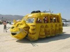 catbus real