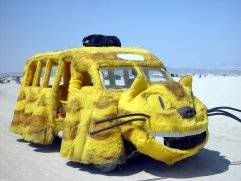 catbus real