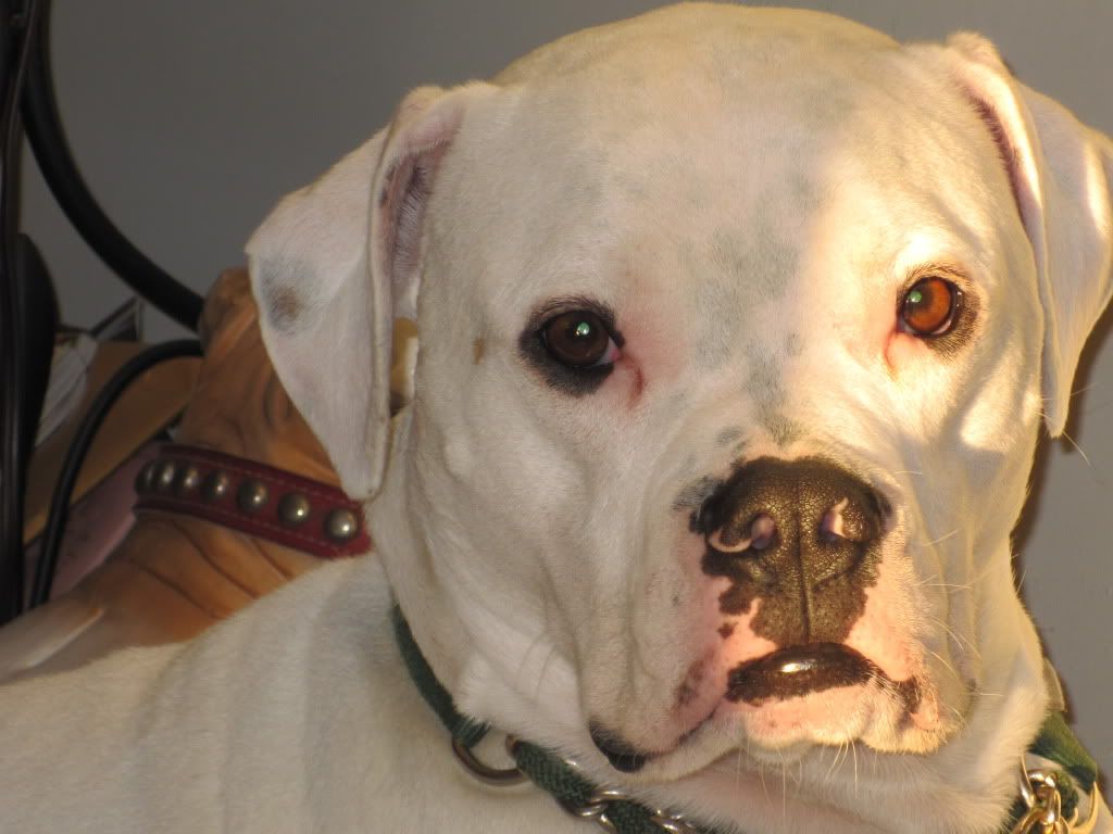 LeRoy024.jpg