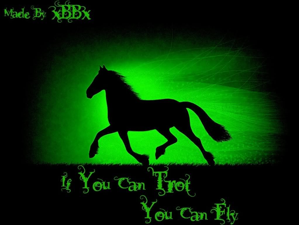 If You Can Trot You Can Fly