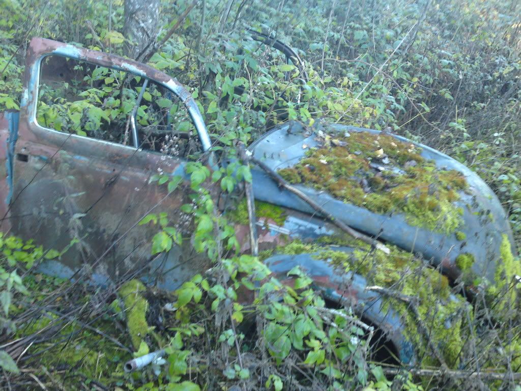 090211084.jpg?t=1301942931