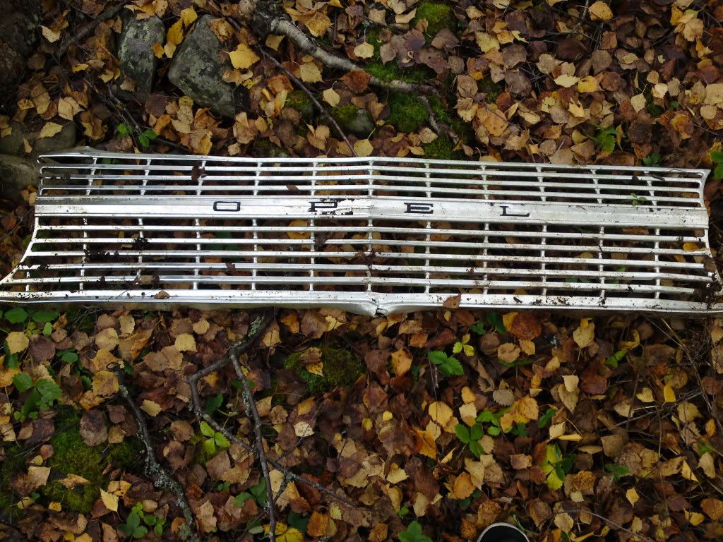 090211174.jpg?t=1301942931