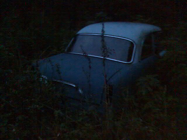 Bilde017mgd.jpg?t=1300906219