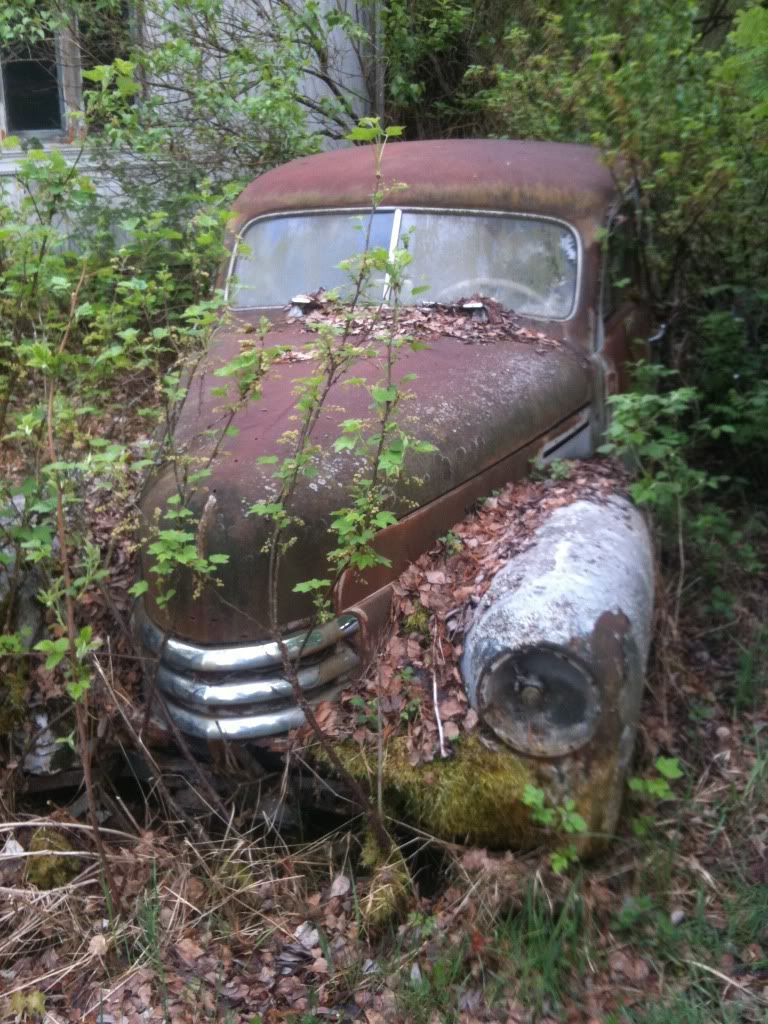 IMG_0146.jpg?t=1305493061