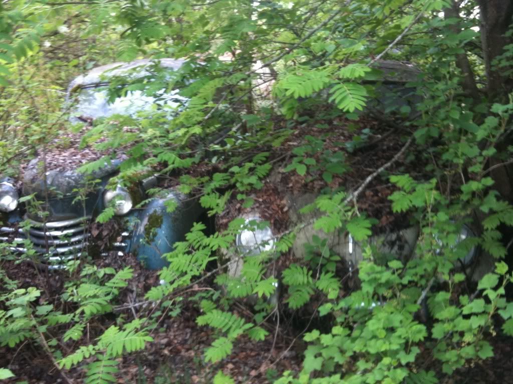 IMG_0147.jpg?t=1305493062