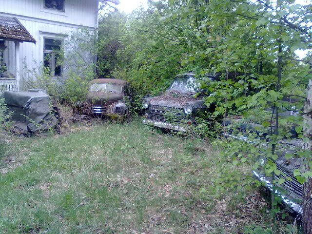 IMG_0154.jpg?t=1305493034