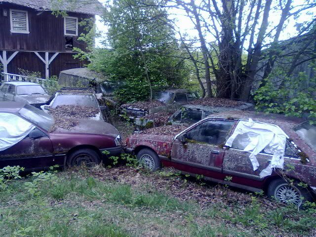 IMG_0155.jpg?t=1305492999