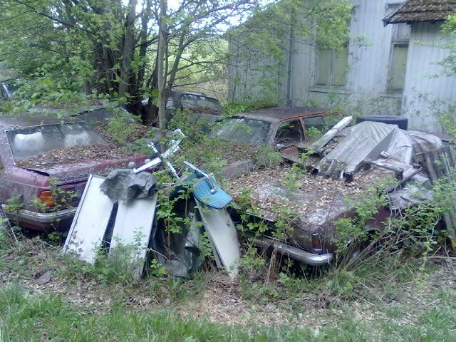 IMG_0156.jpg?t=1305493001