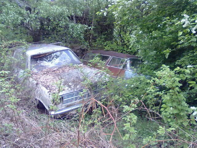 IMG_0158.jpg?t=1305493069