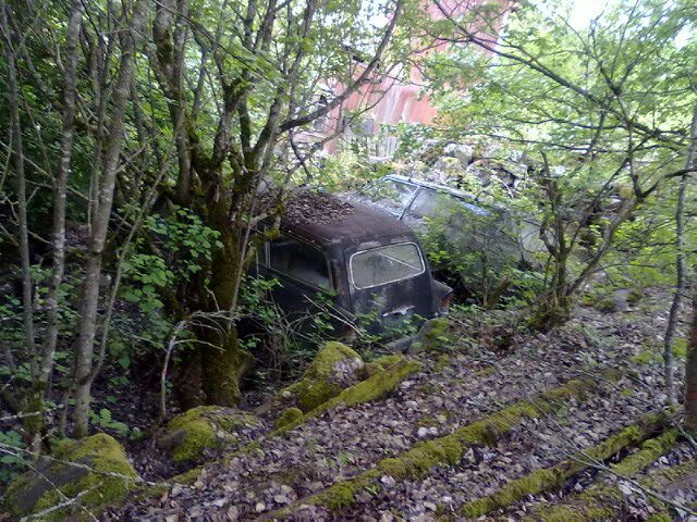 IMG_0159.jpg?t=1305493070