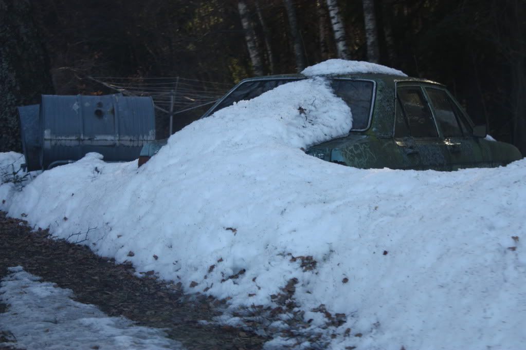 IMG_3050-1.jpg?t=1301504124