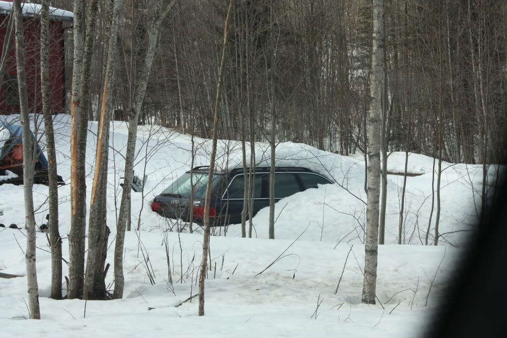 IMG_3494.jpg?t=1301943241