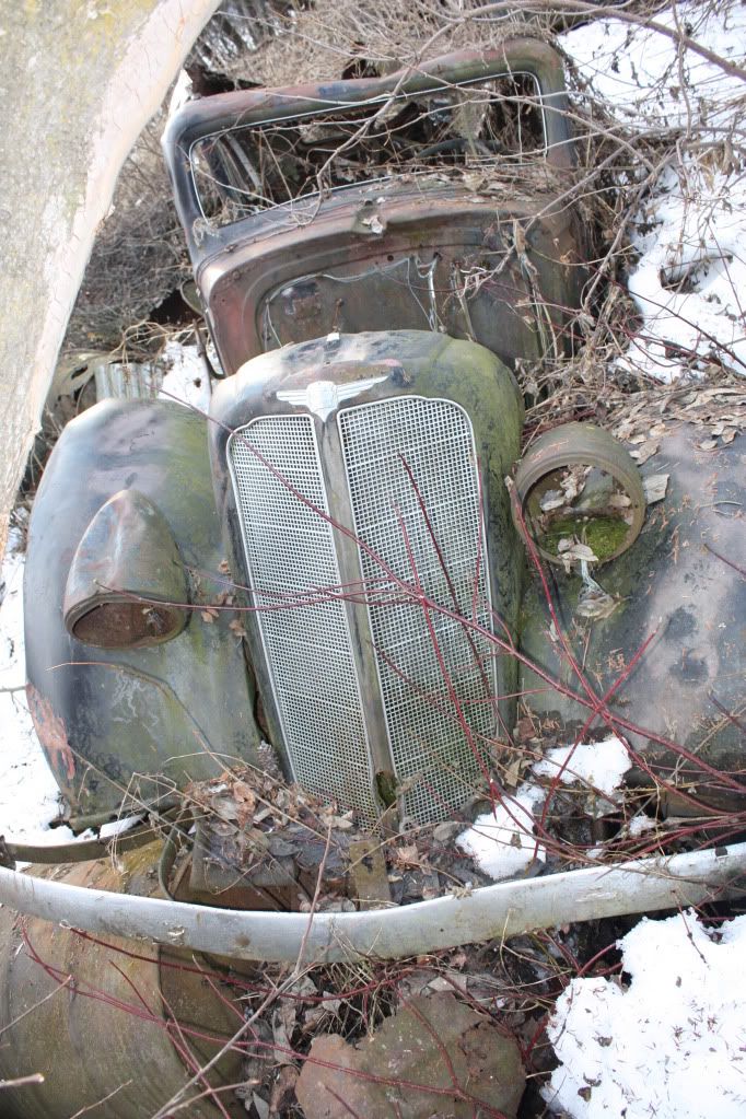 IMG_3529.jpg?t=1301943070