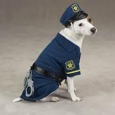 Anjing Polisi
