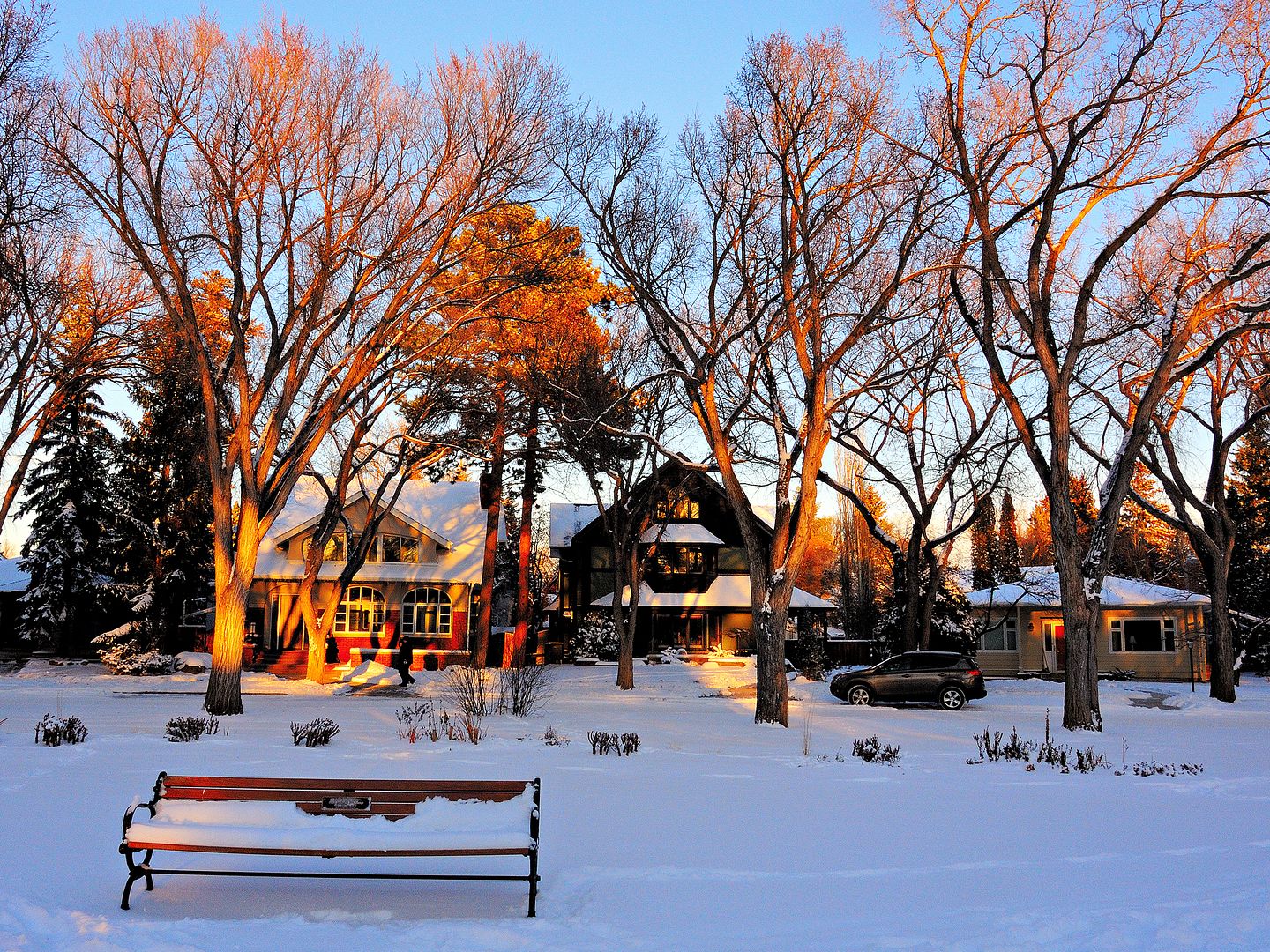 white christmas