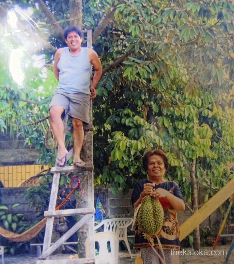 durian fruit