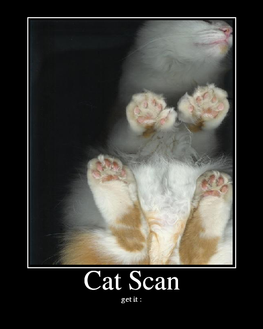 Image result for cat scan and lab test joke