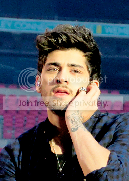 ZAYN2_zpsd7bb8e8e.png
