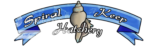 Hatchery-Banner2_zpsmlmjjhza.png