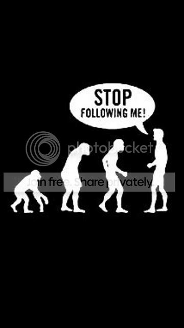 evolution_rw7dc8sh.jpg
