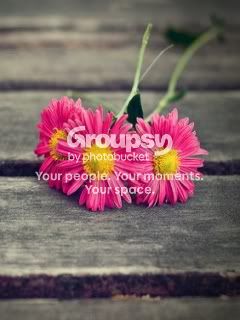 lovelyflow_q7bvzb3d.jpg