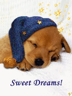 sweetdream_68c3mjz5.gif