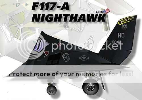 F117.jpg